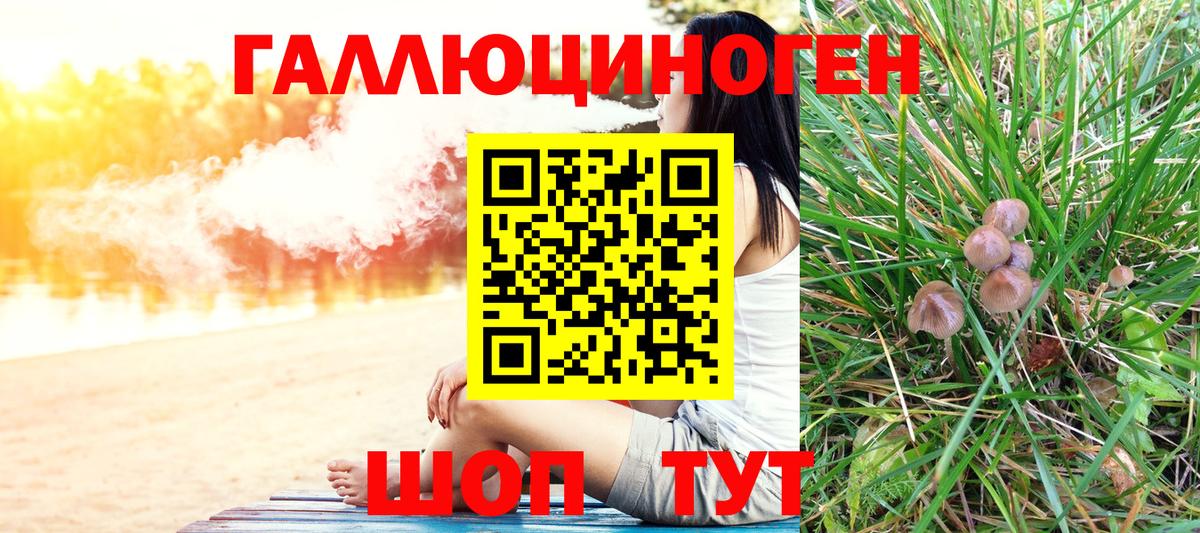 Обь  Галлюциногенные грибы мухоморы  Вход с VPN  Галлюциногенные грибы Psilocybine cubensis 