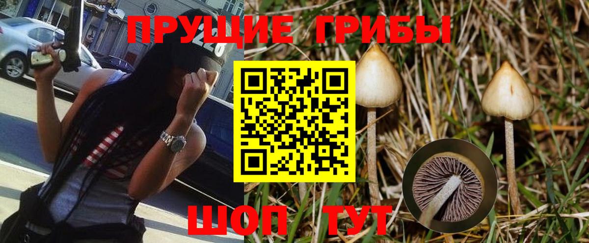Галлюциногенные грибы MAGIC MUSHROOMS Обь
